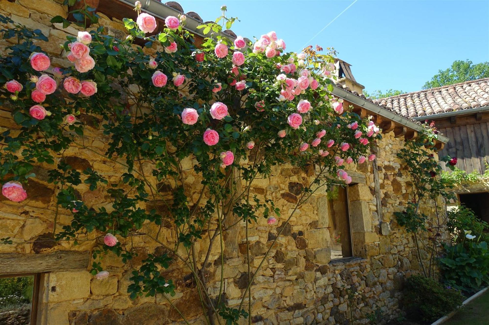Domaine De Cournet Haut, A 17Th Century Property Set On A Calm, Idyllic Domain With Pool, Tennis, Bikes And More Les Vauries Exterior foto
