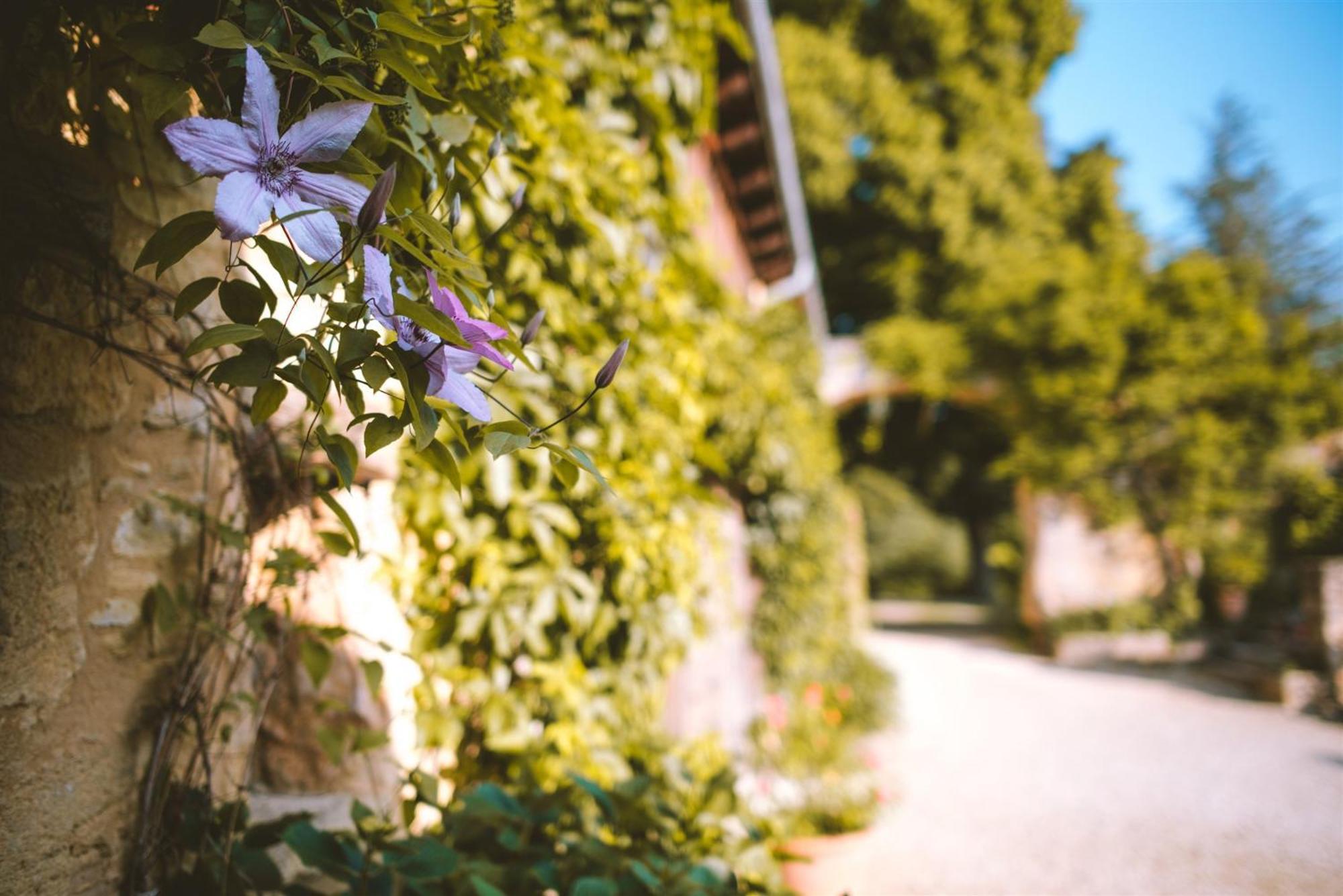 Domaine De Cournet Haut, A 17Th Century Property Set On A Calm, Idyllic Domain With Pool, Tennis, Bikes And More Les Vauries Exterior foto